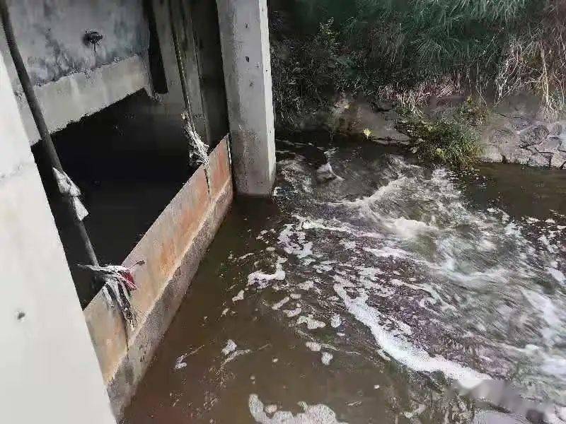 生物毒性檢測儀可以檢測什么