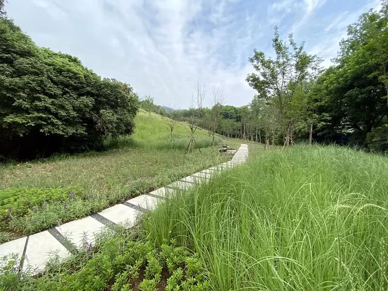 環境監測站節省成本、提**率 環境監測站節省成本、提**率