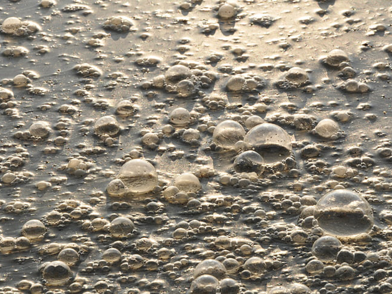 檢測工業(yè)污水可以用在線氨氮檢測儀嗎 檢測工業(yè)污水可以用在線氨氮檢測儀嗎