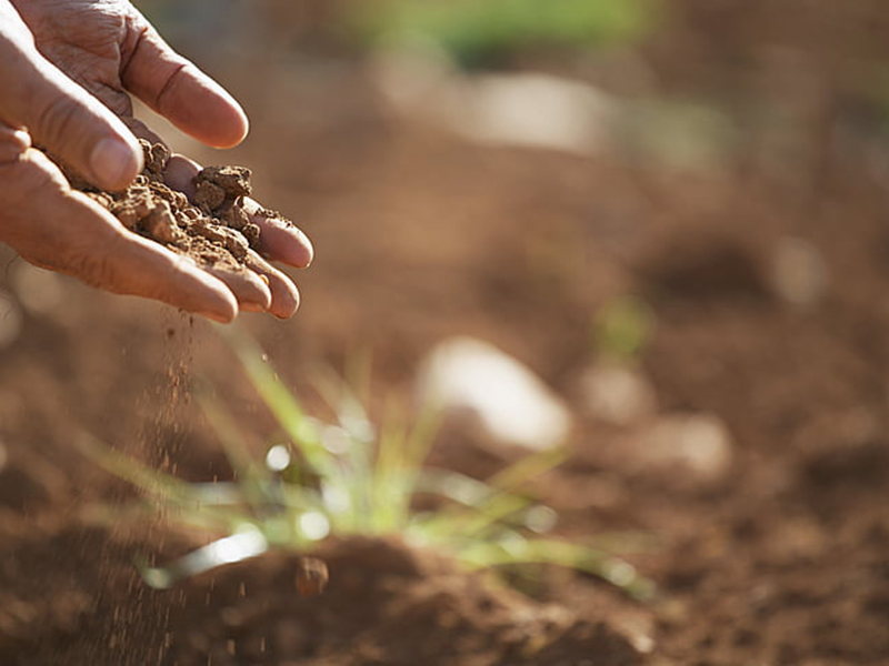 如何檢測土壤重金屬是否超標(biāo)？