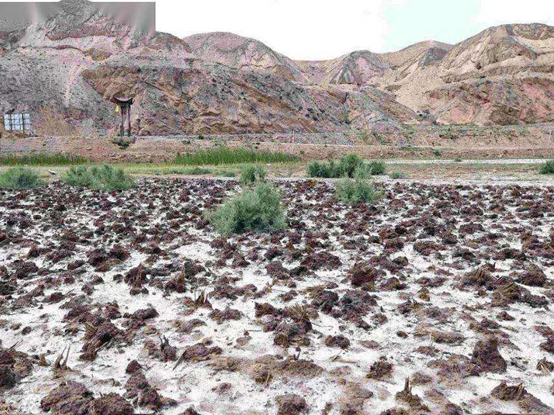 土壤發白是什么原因-土壤鹽堿含量怎么檢測