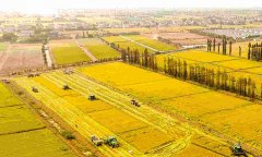 蔬菜農(nóng)藥殘留檢測儀怎么樣？