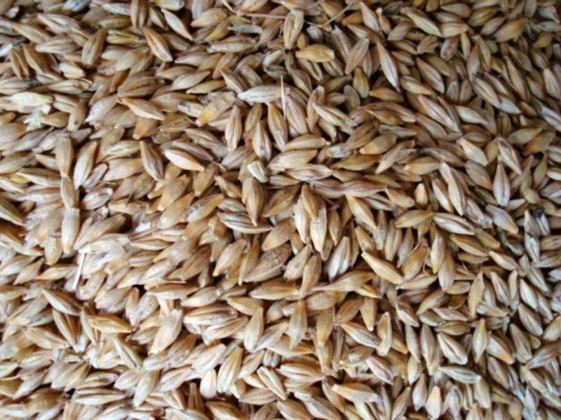 糧食重金屬檢測儀，滿足現場檢測需求