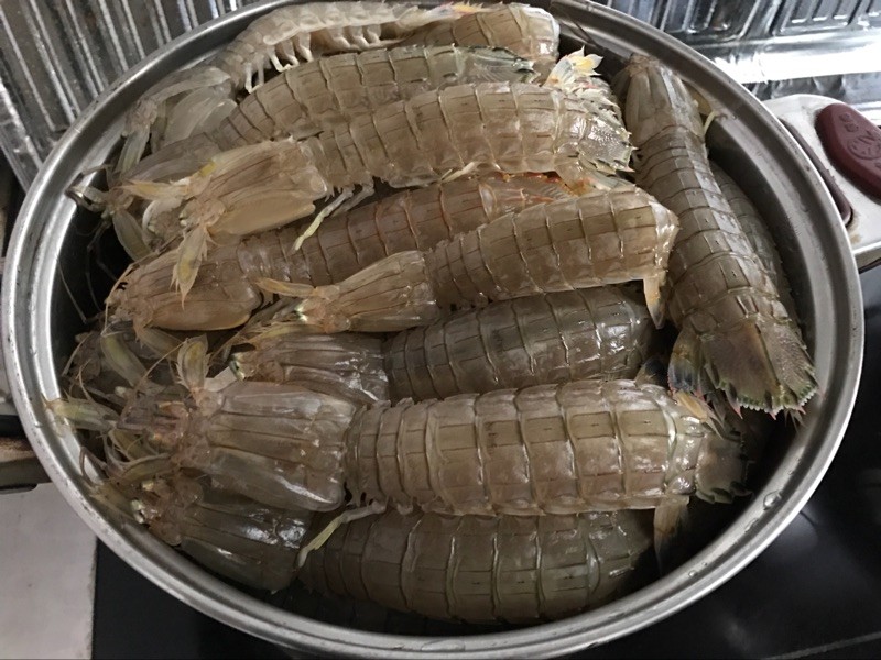 皮皮蝦中為什么會被檢測出鎘超標