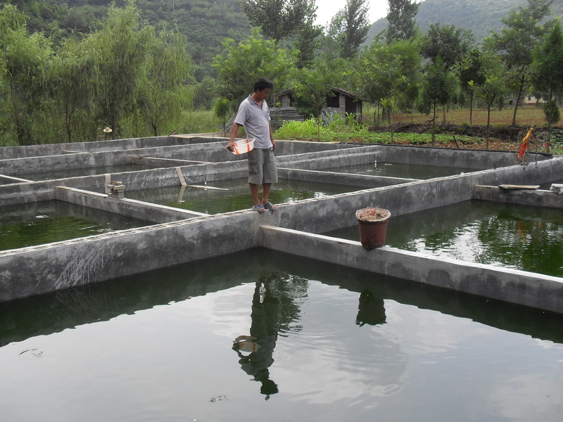 水中硫化氫檢測(cè)儀,可以為水產(chǎn)養(yǎng)殖做什么 水中硫化氫檢測(cè)儀,可以為水產(chǎn)養(yǎng)殖做什么