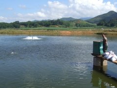 水產(chǎn)養(yǎng)殖檢測儀,為水產(chǎn)提供優(yōu)良的生長環(huán)境