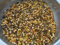 真菌毒素對(duì)人和動(dòng)物有極大的危害！